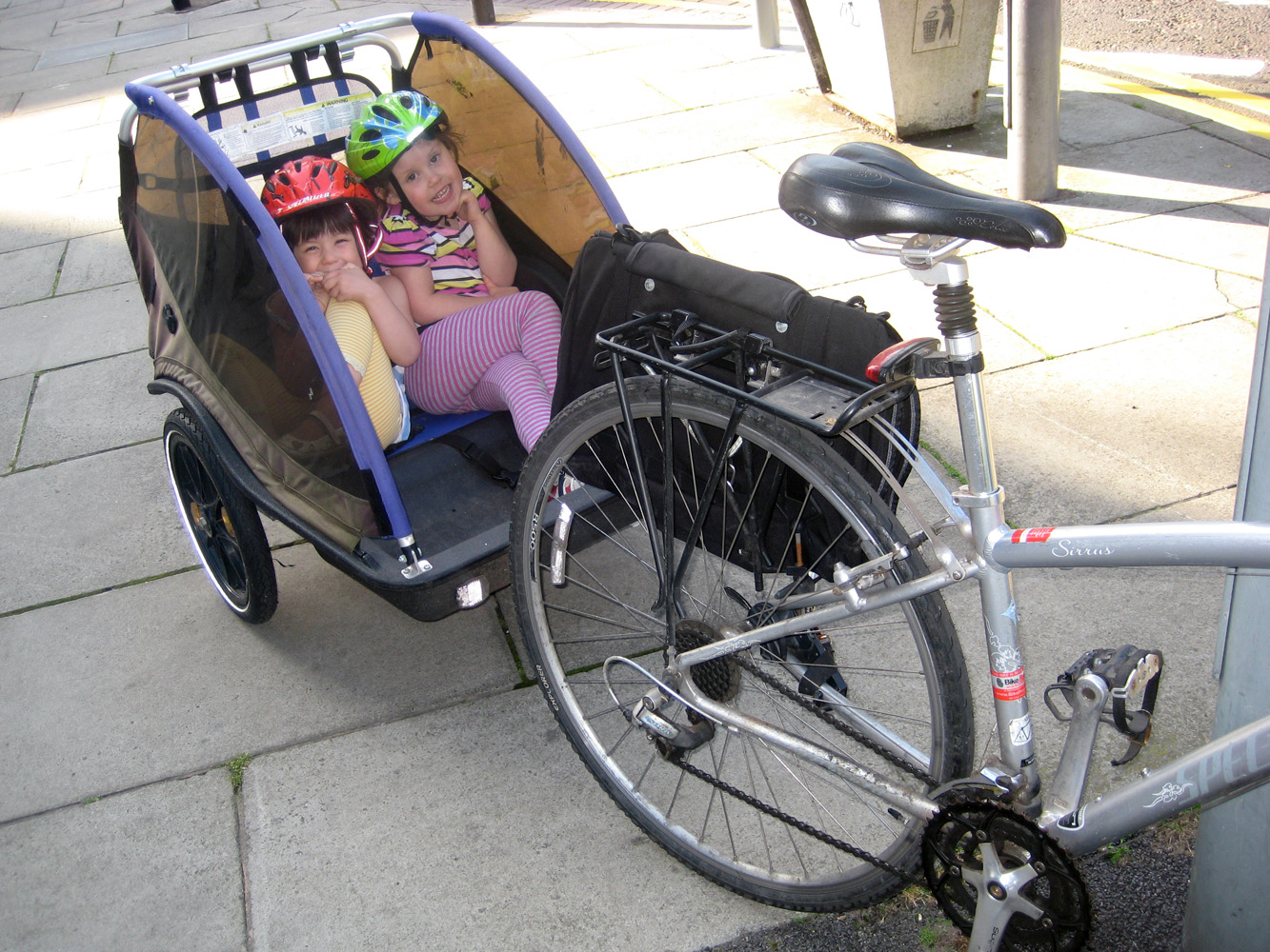 bike buggy for child